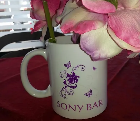 Pensjonat Sony